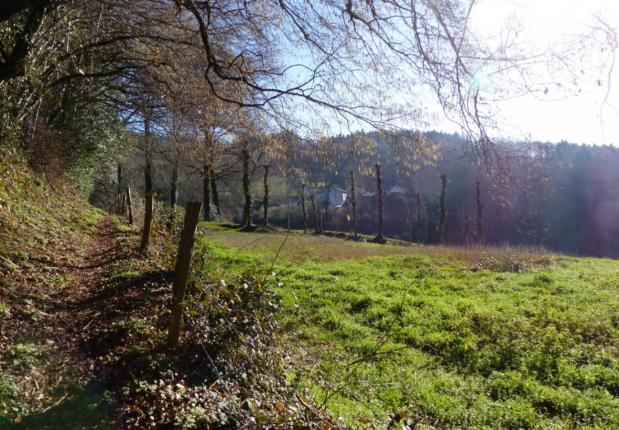 Vers Cabrespine Sentier du luthier