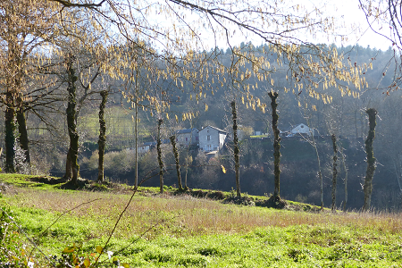 Le Bouscaillou Sentier du Luthier