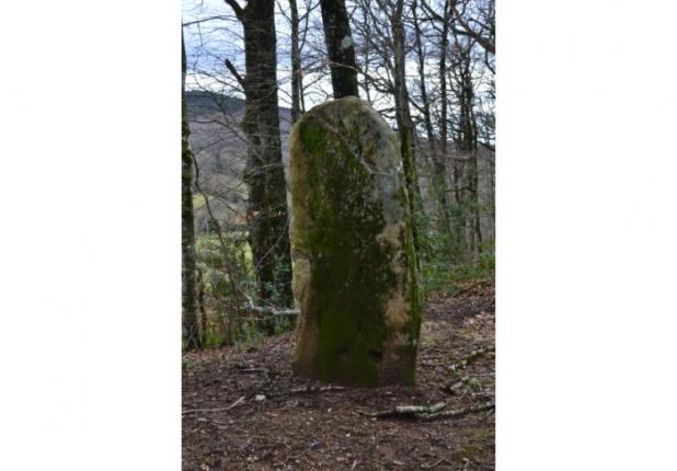Le menhir de La Soulière Statue-menhir de La Soulière