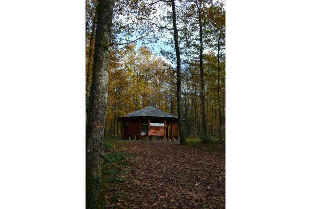 La maison de la forêt de Montagnol Maison de la forêt