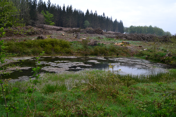 Etang