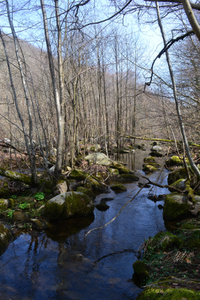Rivière